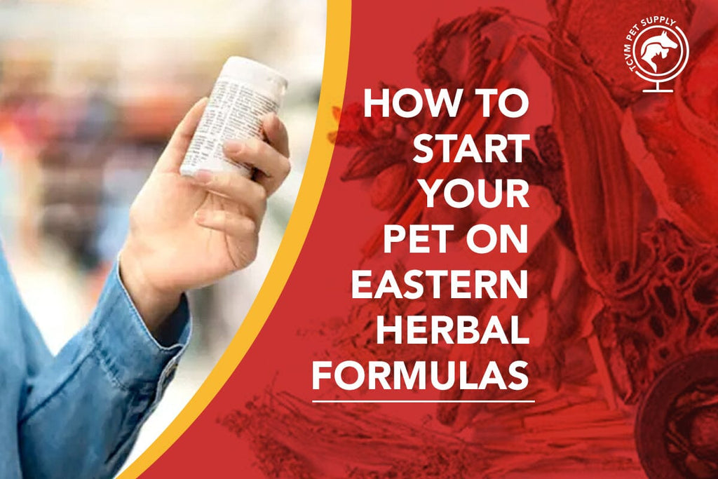 How to Start Using TCVM Herbal Medicine for Pets