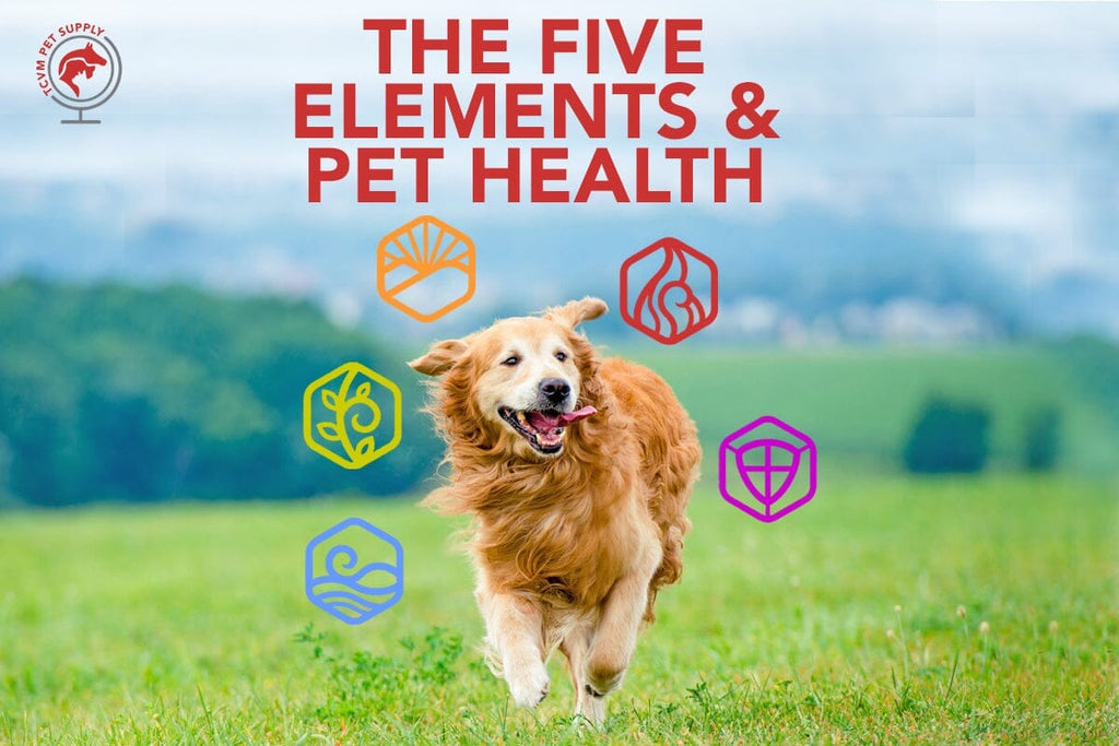 Harmony Unleashed: Mastering Pet Health Through The Five Elements