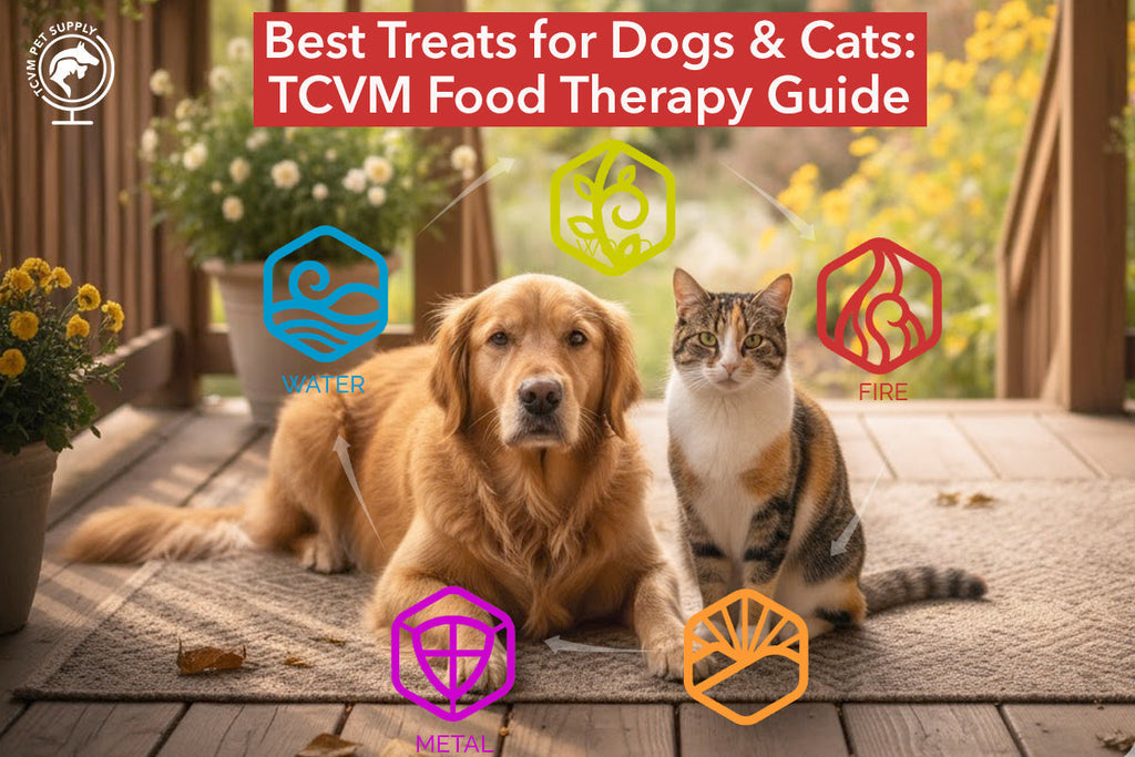How to Find the Best Treats for Your Dog or Cat: A TCVM Guide to Food Therapy and Elemental Balance