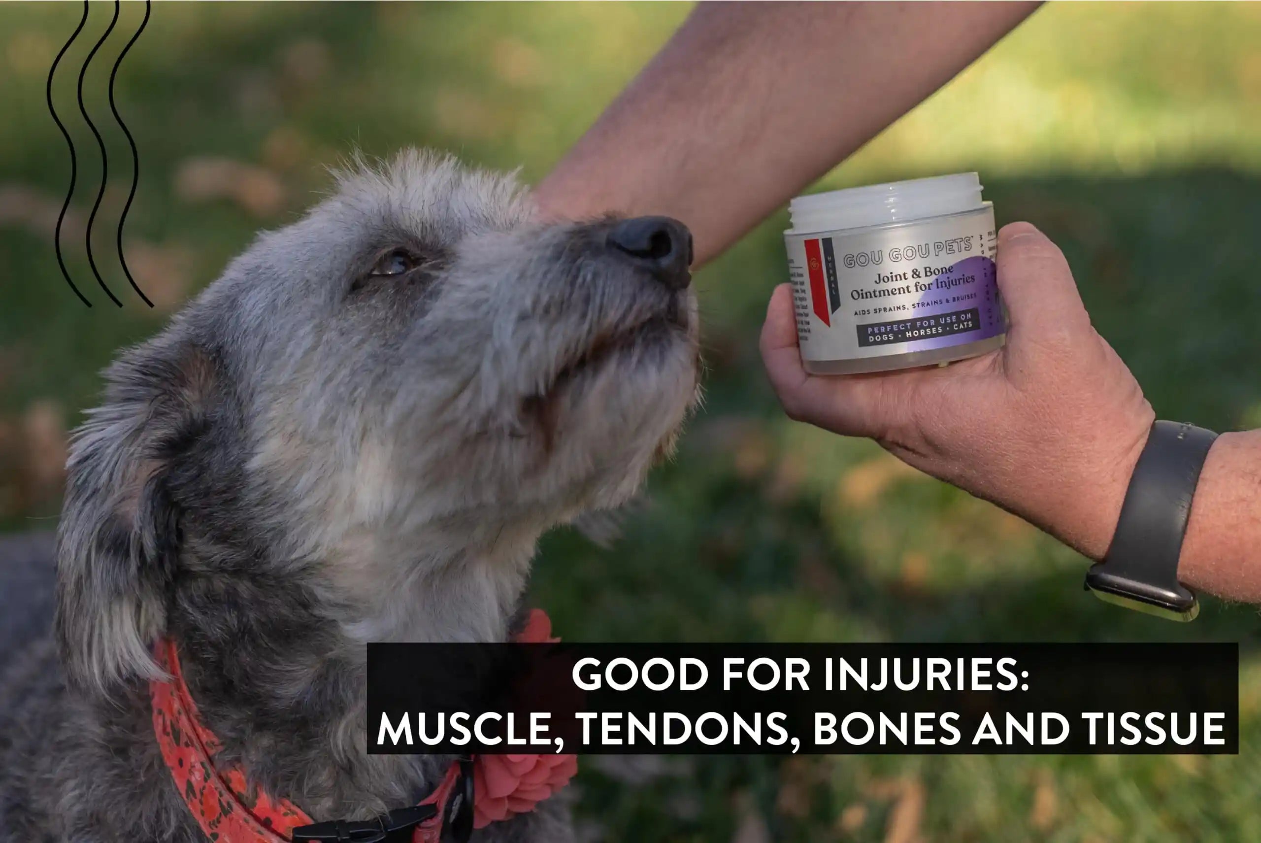 Gou Gou Pets Joint and Bone Ointment for Injuries in Dogs, Cats, and Horses