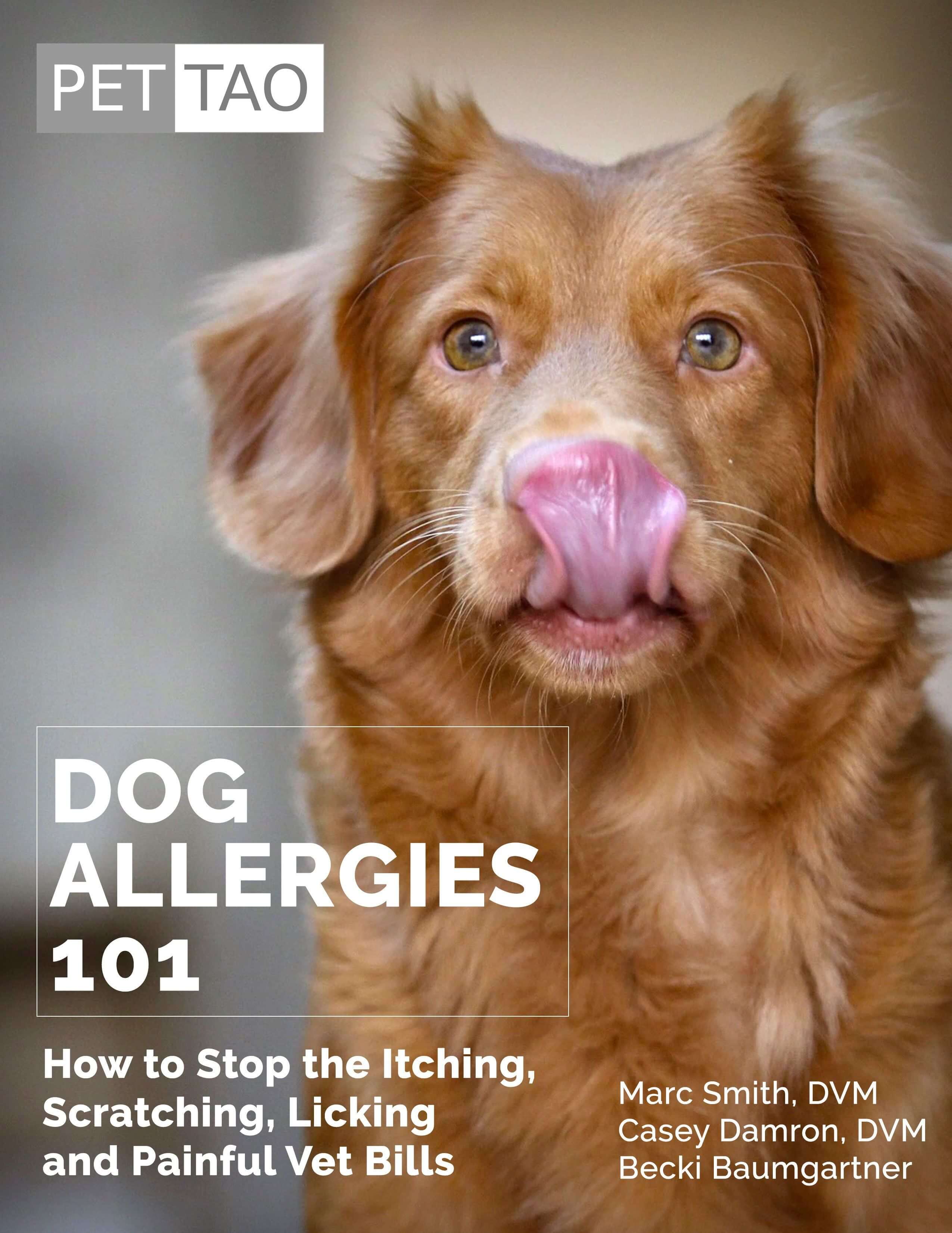 Dog Allergies 101: How to Stop the Itching, Scratching, Licking & Painful Vet Bills (Ebook Cover)