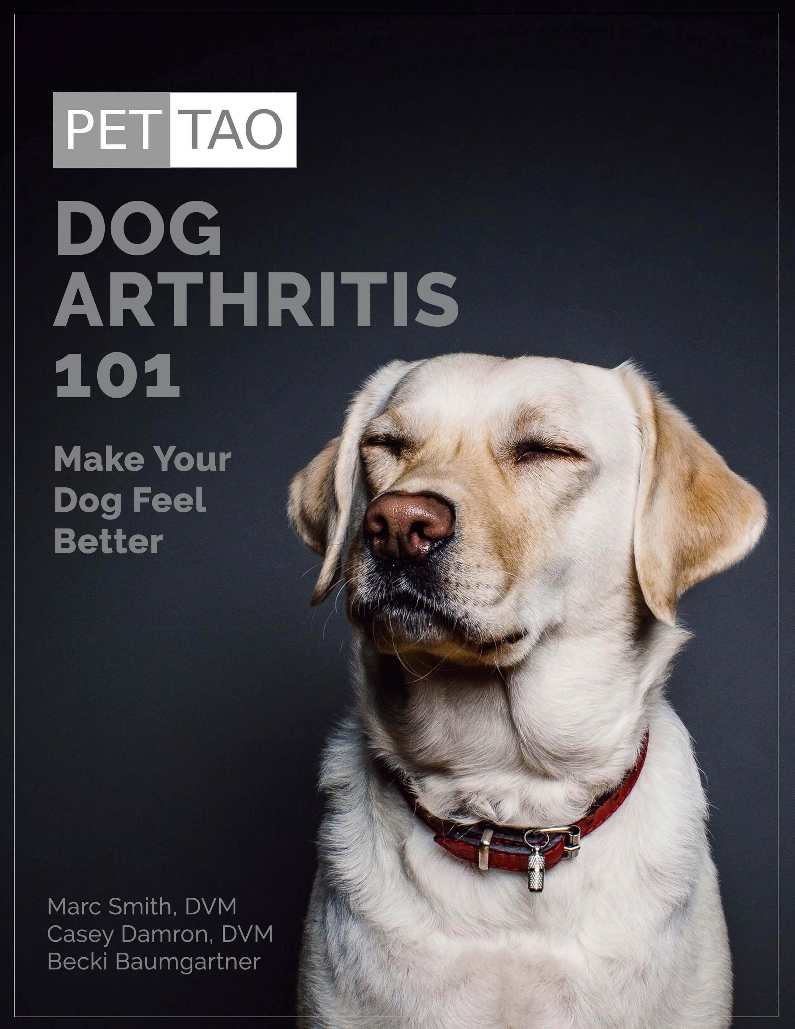 Dog Arthritis 101: Make Your Dog Feel Better - Instant Ebook Download