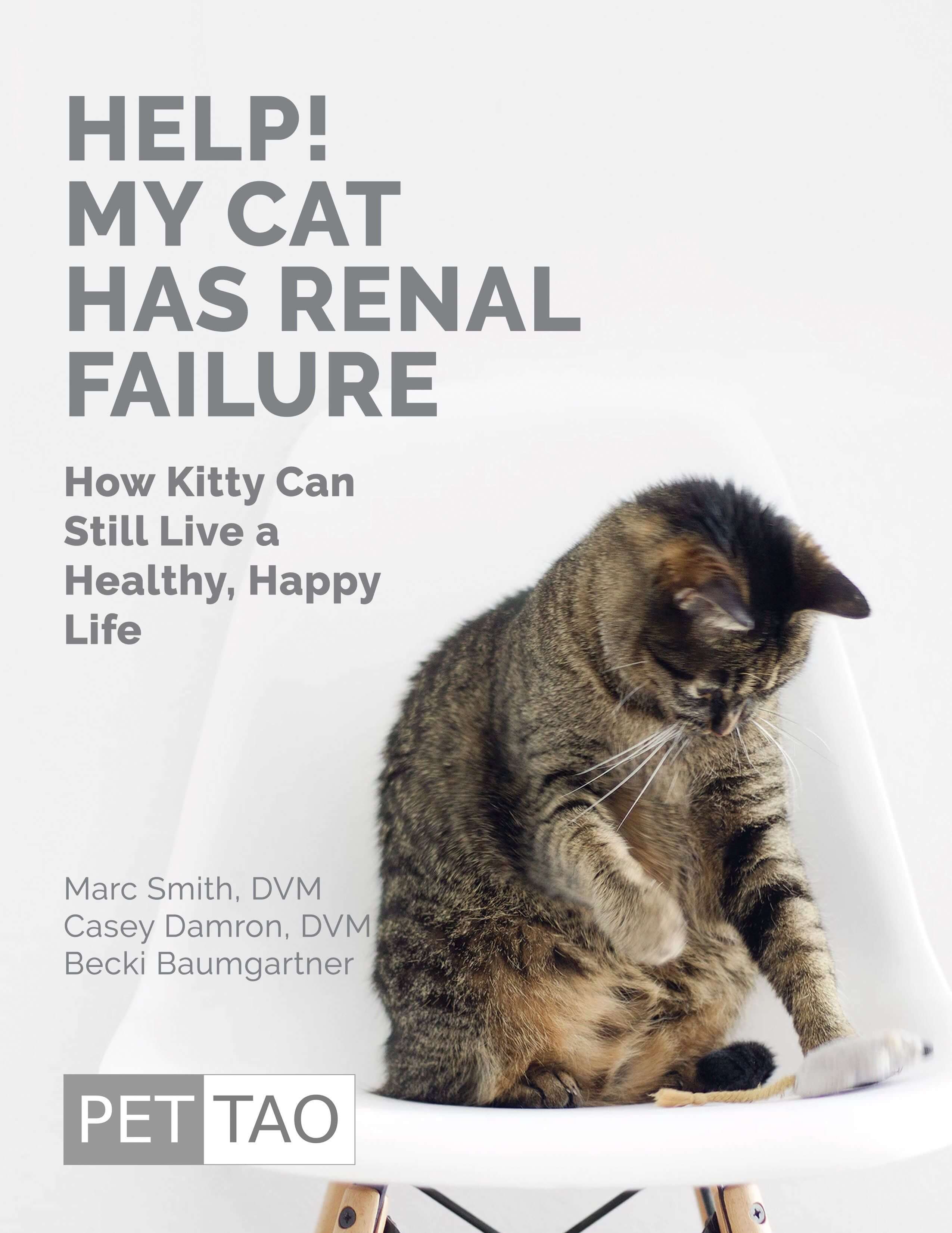 Help! My Cat Has Renal Failure: How Kitty Can Still Live A Healthy Happy Life