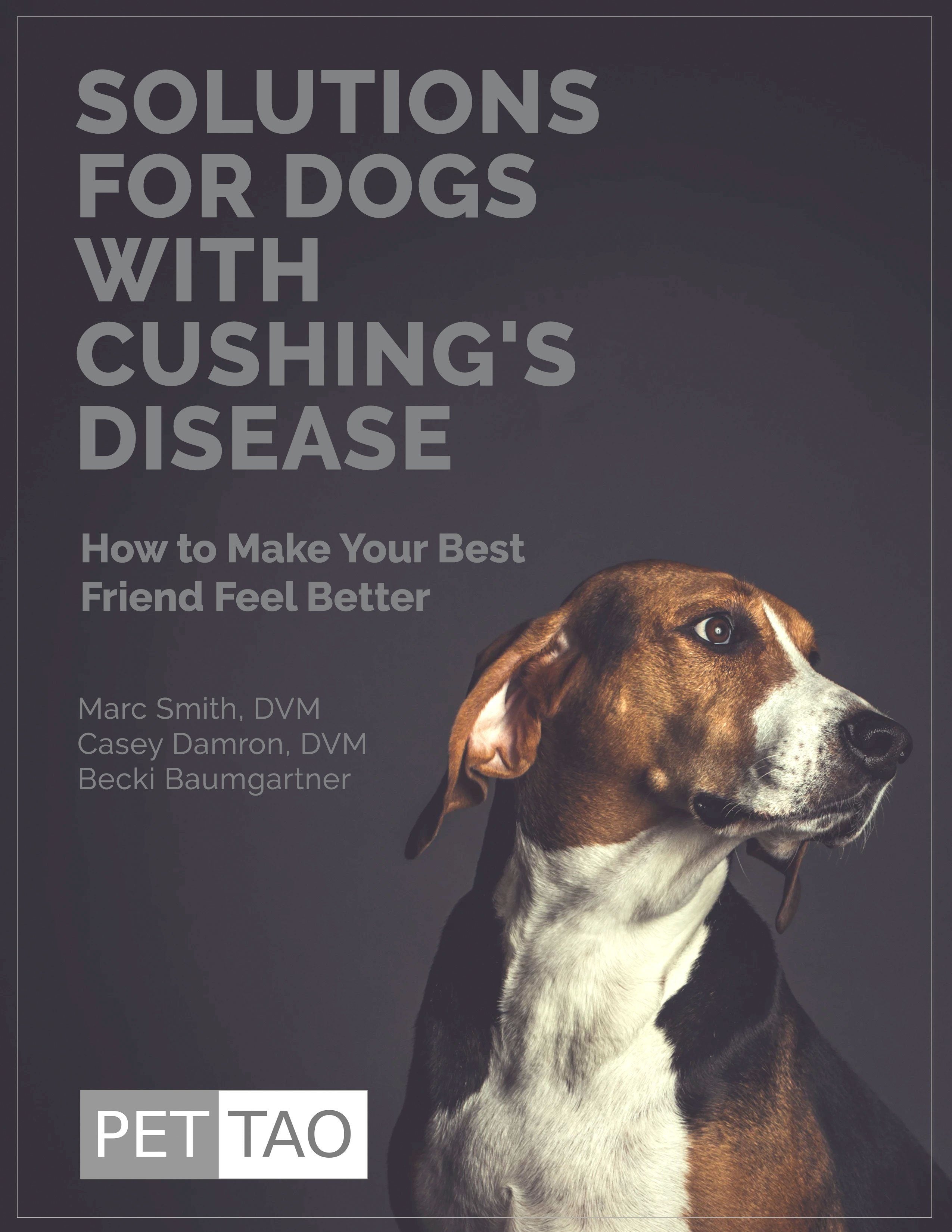Solutions for Dogs With Cushing's Disease: How to Make Your Best Friend Feel Better ebook cover