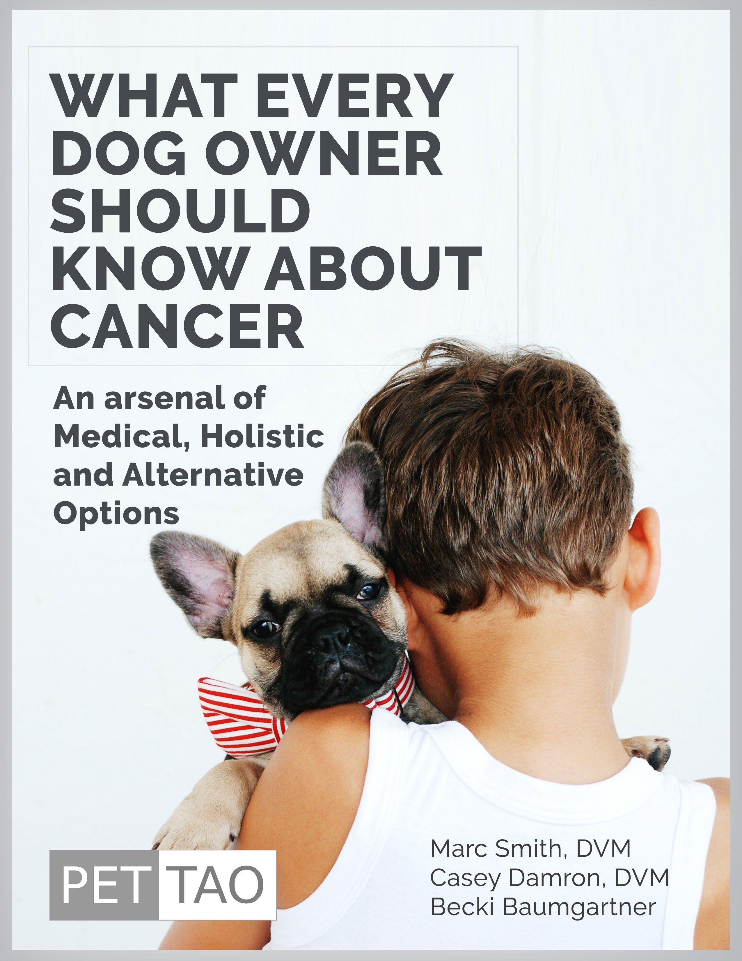 What Every Dog Owner Should Know About Cancer: An Arsenal of Medical, Holistic & Alternative Options ebook cover