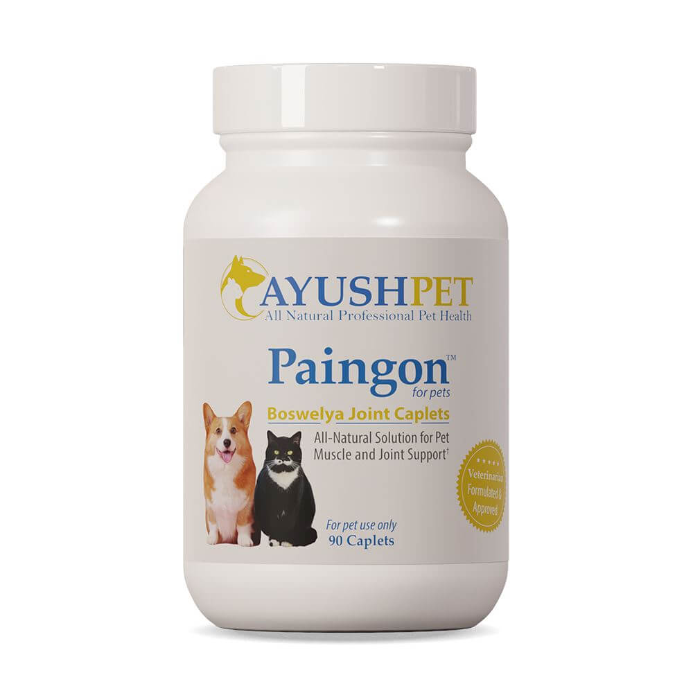 Ayush™ Pet Paingon™ Boswelya Joint Caplets for Dogs and Cats (90 Caplets)