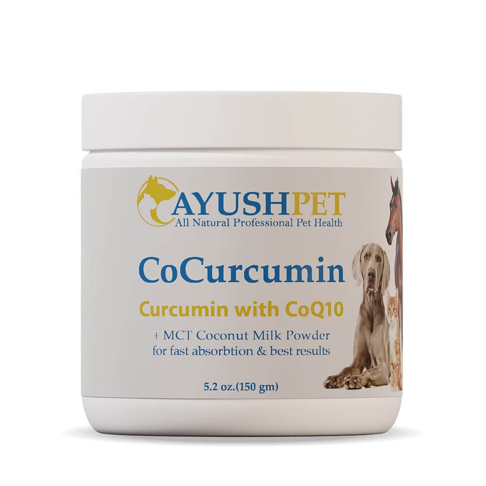 ayush pet cocurcumin + coq10 mct coconut milk powder for fast absorption & best results jar