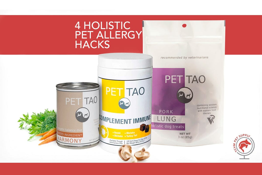 Top 4 Natural Remedies for Pets with Allergies
