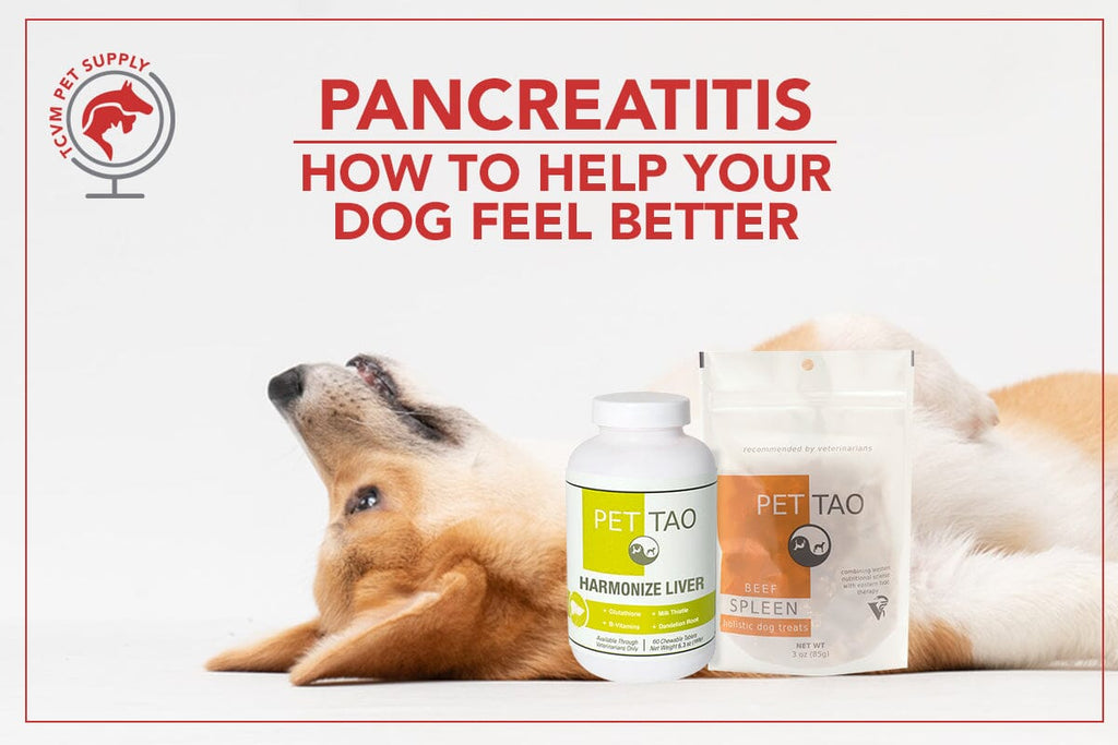 how can i help my dog with pancreatitis