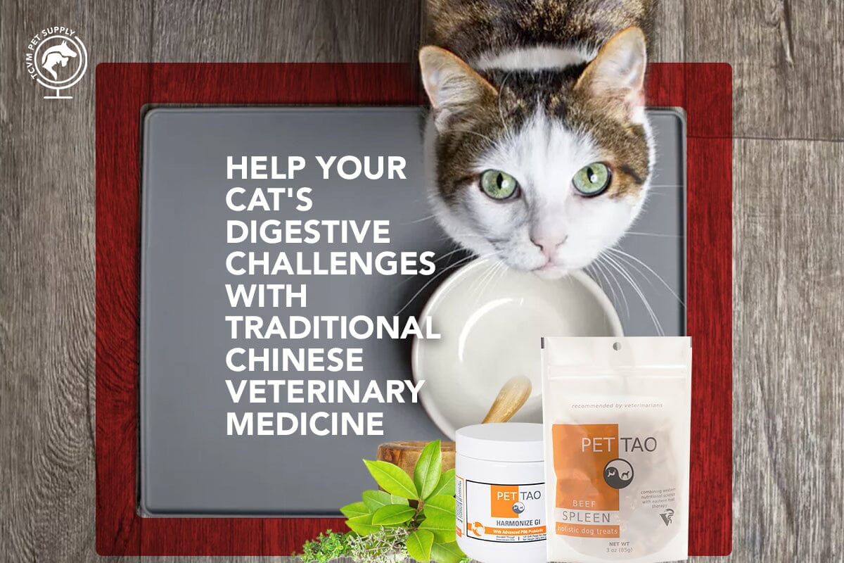 What s the Best Cat Food for Digestive Challenges TCVM Pet Supply