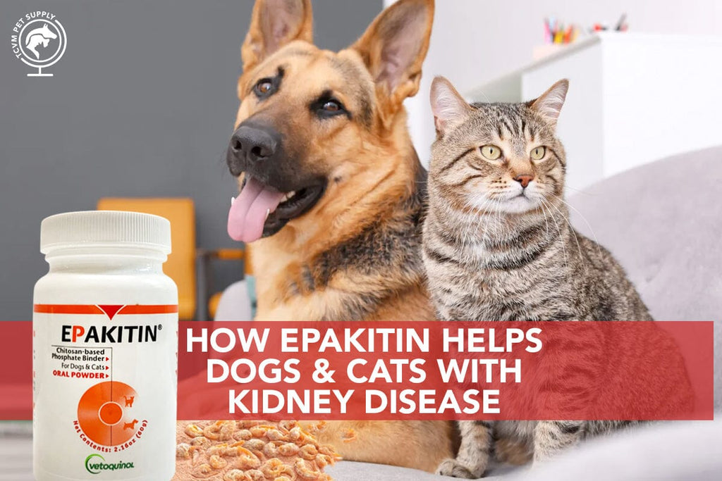How Epakitin Helps Dogs and Cats with Kidney Disease