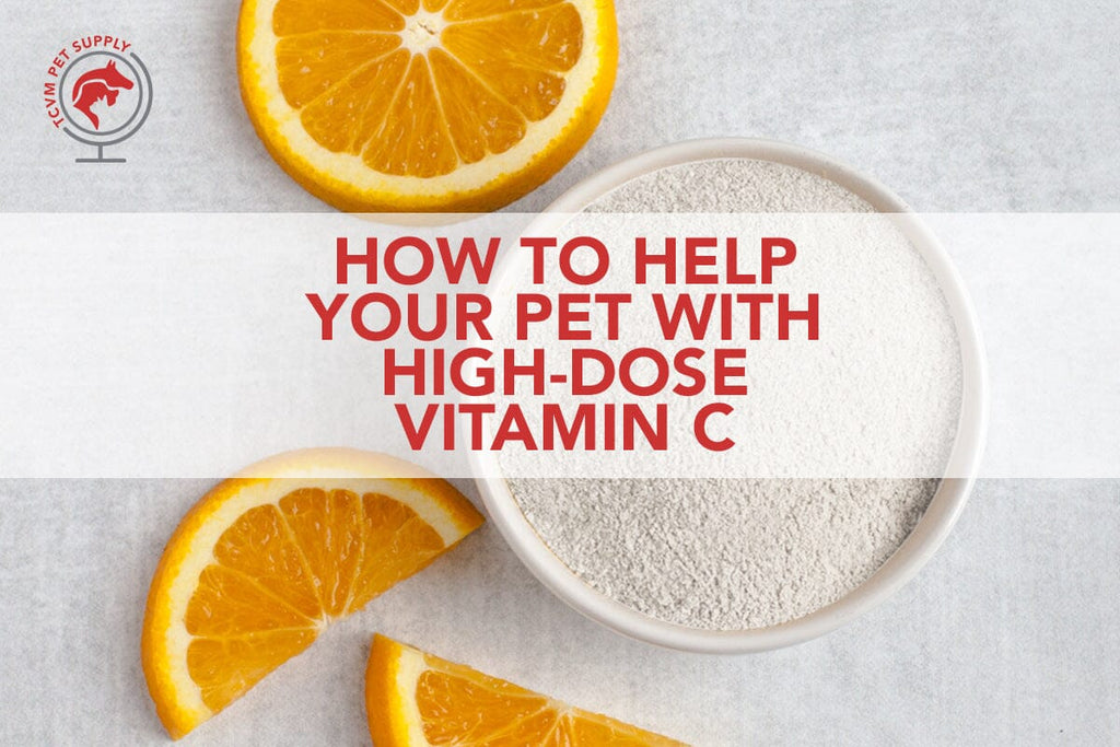 How to Use High Dose Vitamin C for Dogs & Cats