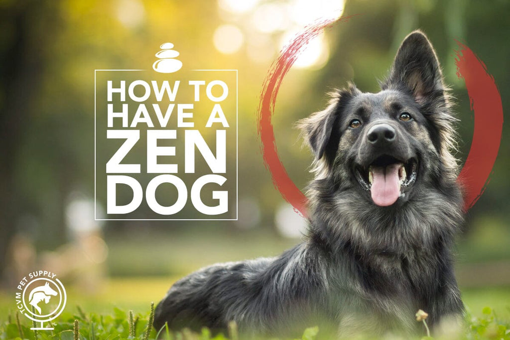 How to Have a Zen Dog