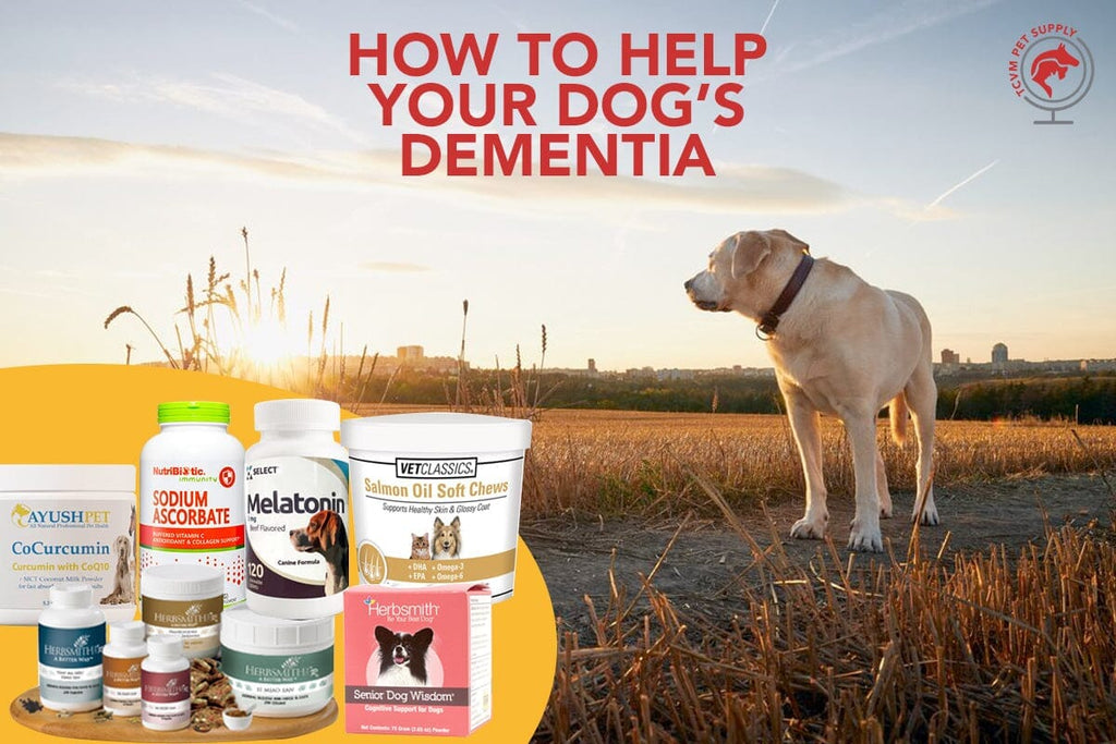 Natural Treatments for Dog Dementia (Canine Cognitive Dysfunction)
