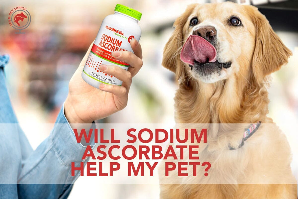 What is Sodium Ascorbate & How Will it Help My Pet?