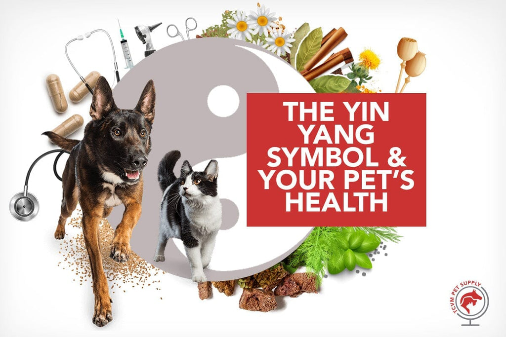 What the Yin Yang Symbol Means for Your Pet
