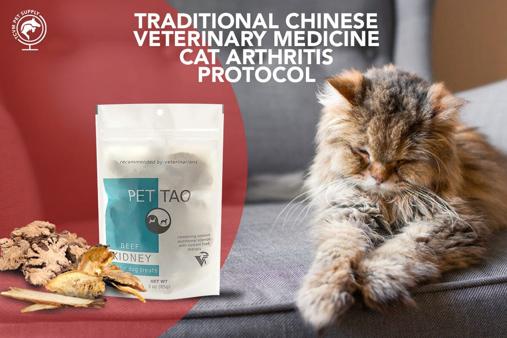 Traditional Chinese Medicine Offers a Holistic Treatment for Arthritis in Cats