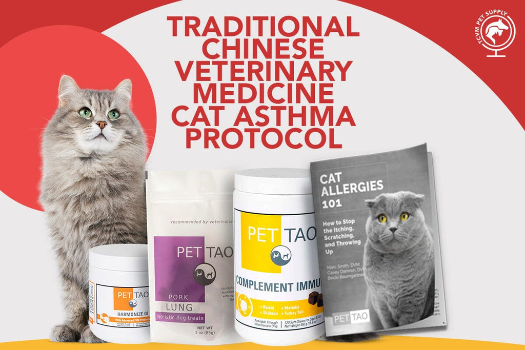 How to Ease Cat Asthma Symptoms Naturally Using Traditional Chinese Veterinary Medicine