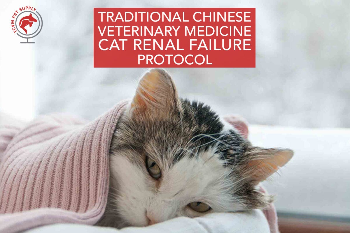 Constipation in cats deals with renal failure