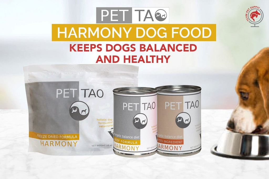 How PET | TAO Harmony Food Keeps Dogs Healthy
