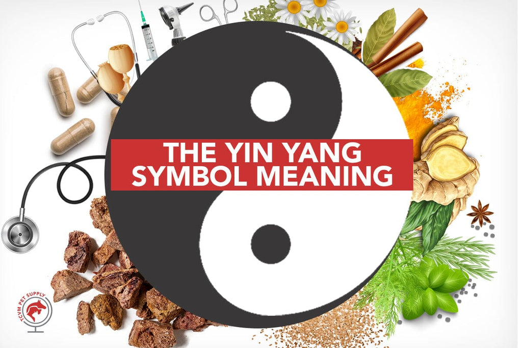 Understanding the Yin Yang Symbol Meaning in Traditional Chinese Veterinary Medicine