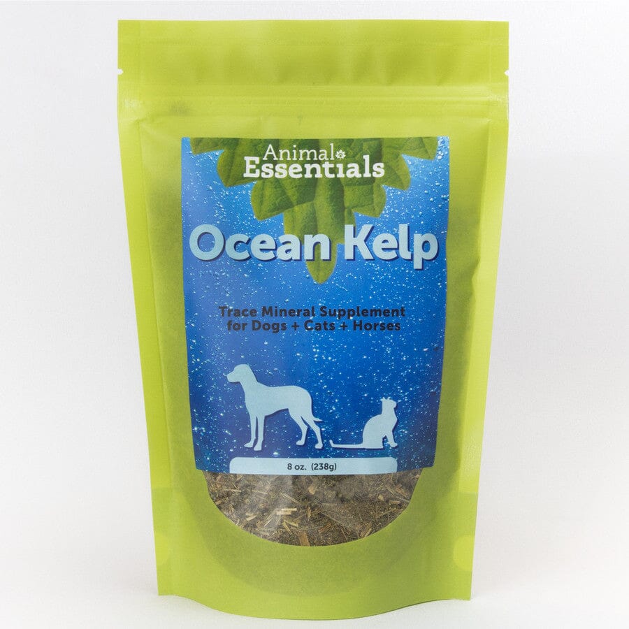 Animal Essentials Organic Ocean Kelp for Dogs and Cats (8oz)