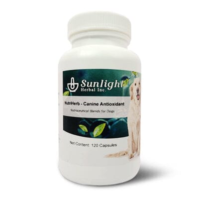 Sunlight Herbal NutriHerb - Canine Antioxidant 0.4g Capsules #120