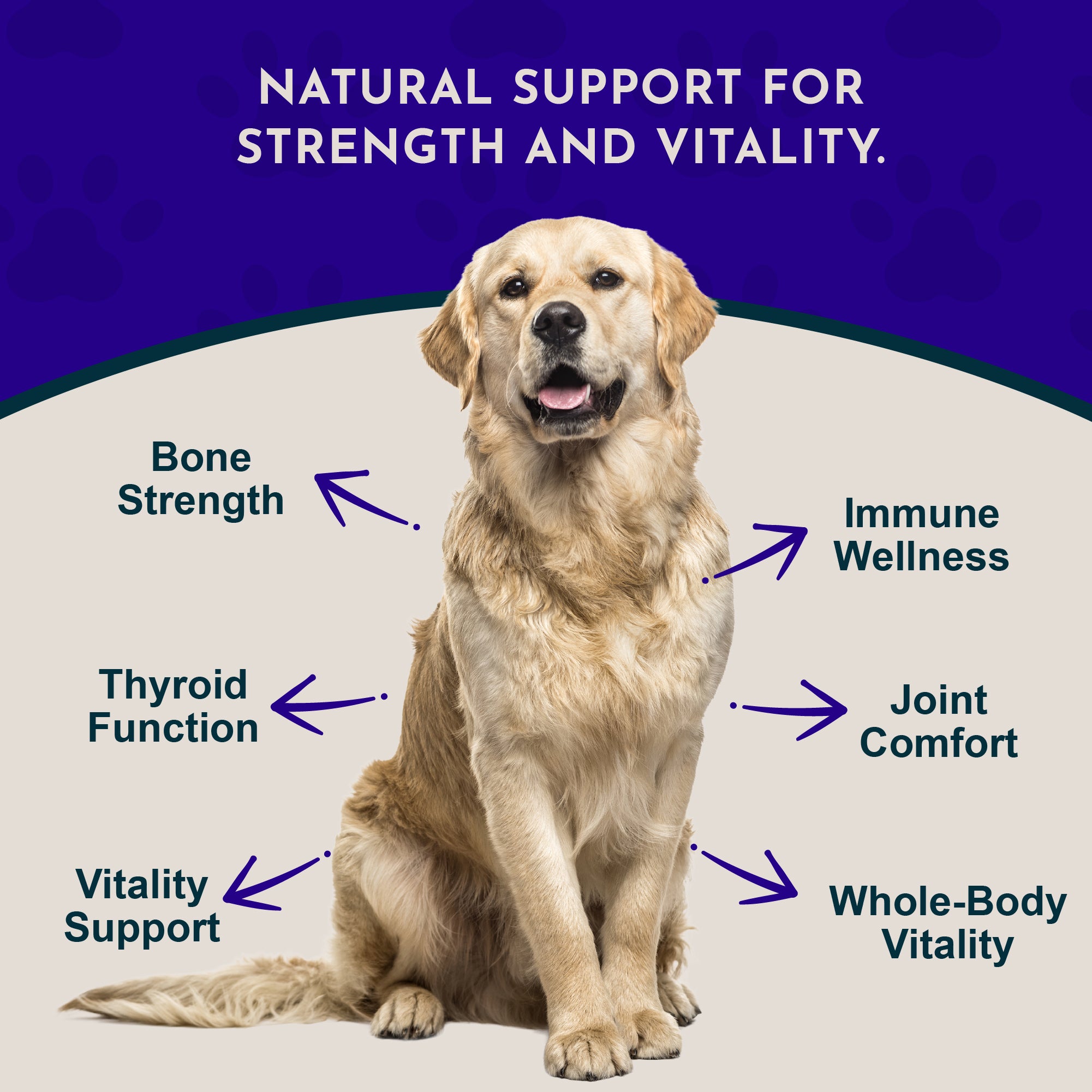 Animal Essentials Sea-Vital for Dogs and Cats (8oz)