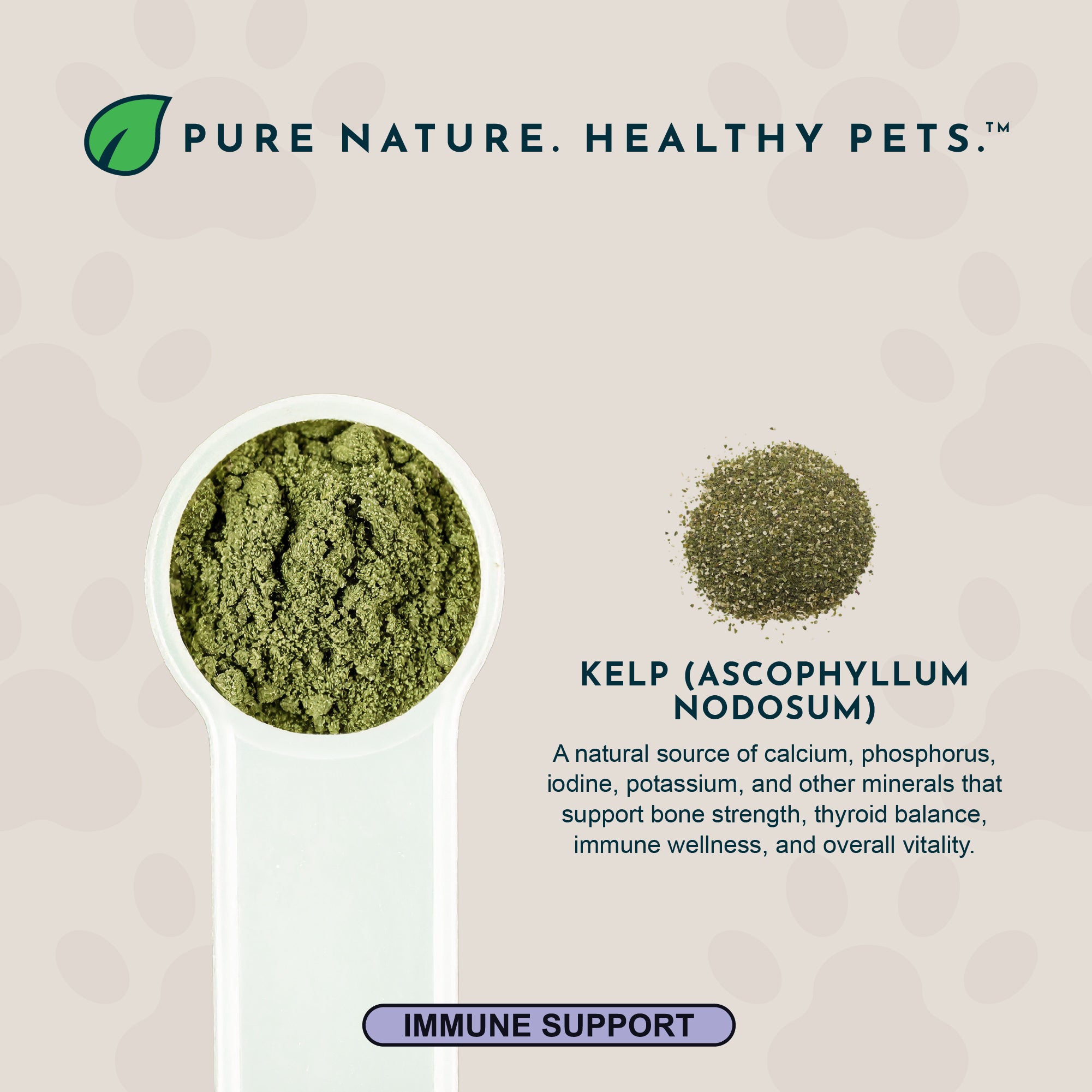Animal Essentials Sea-Vital for Dogs and Cats (8oz)