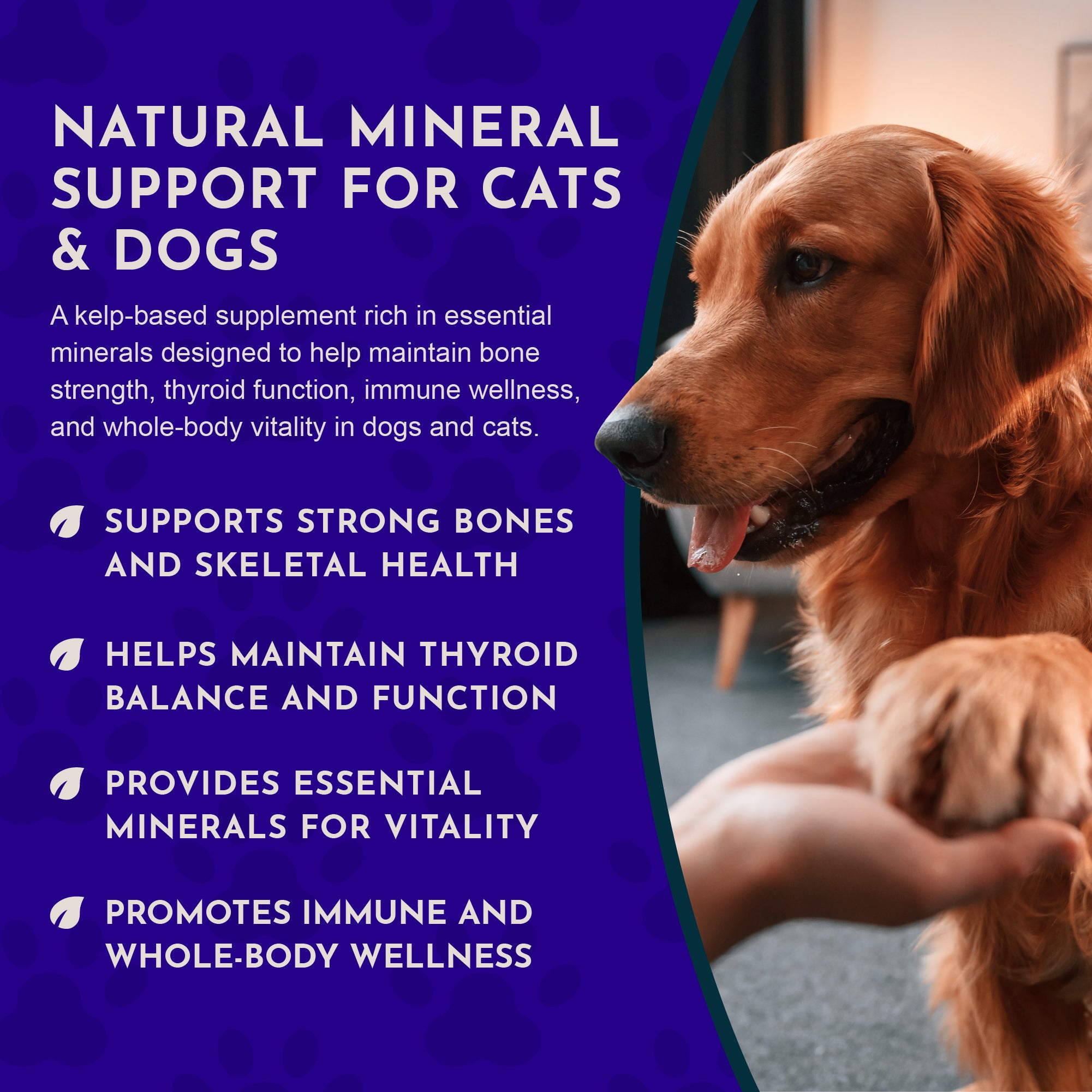 Animal Essentials Sea-Vital for Dogs and Cats (8oz)