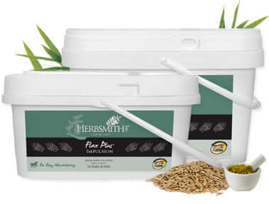 Herbsmith Flax Plus Impulsion Herbal Formula for Horses