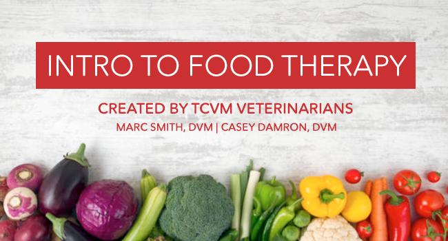 Introduction to Food Therapy Course  - Instant Digital Download  - TCVM Pet Supply