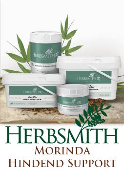 Herbsmith Rx Morinda Hindend Support Herbal Formula for Horses