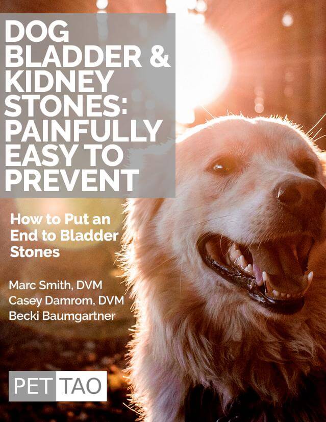 Dog Bladder & Kidney Stones: Painfully Easy to Prevent - Instant Ebook Download  - TCVM Pet Supply