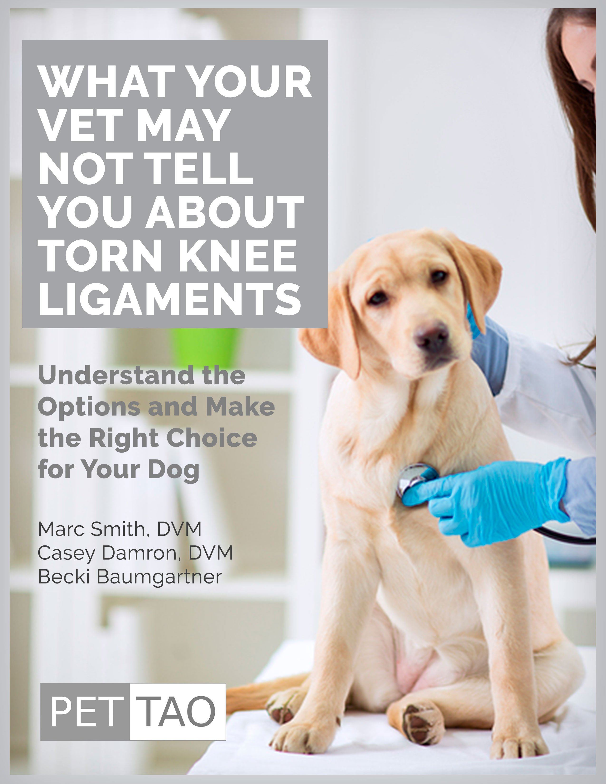 What Your Vet May Not Tell You About Torn Knee Ligaments - Instant Ebook Download