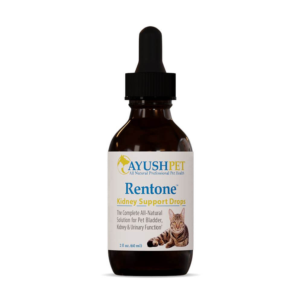 Ayush™ Pet Rentone Kidney and Urinary Support Drops for Dogs and Cats (2oz liquid)