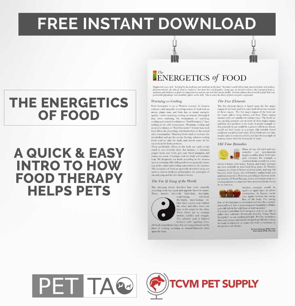 The Energetics of Food Free Instant Download